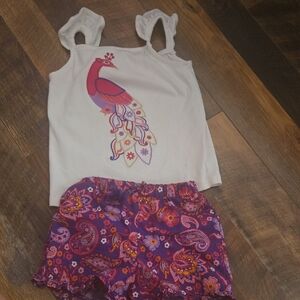 Gymboree Purple and Orange Paisley Shorts